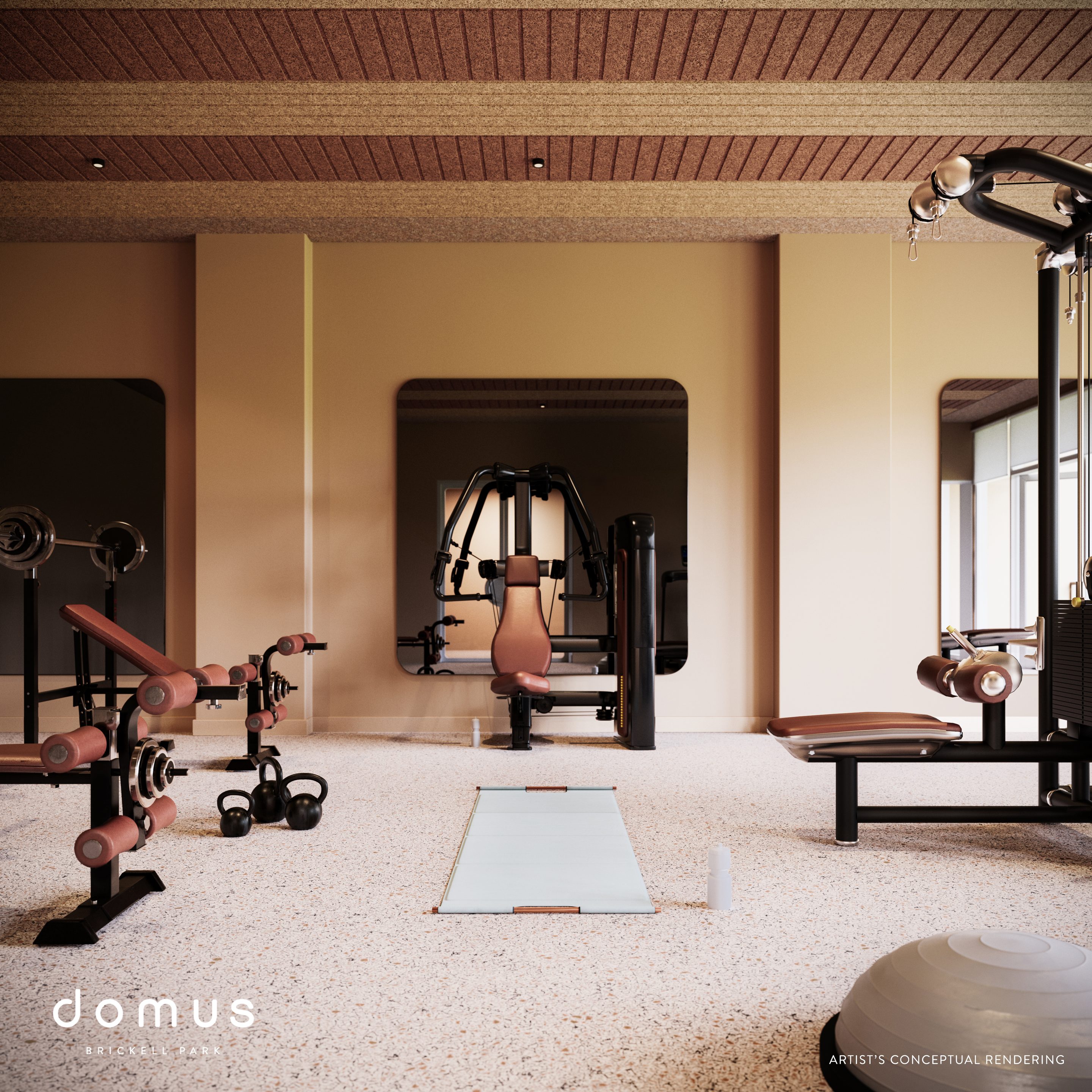 Park gym vignette